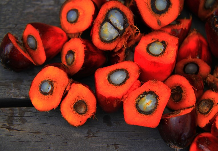 Why Is Palm Oil The Most Used Oil In The World?
